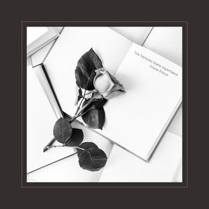 亚洲日韩精品一区
